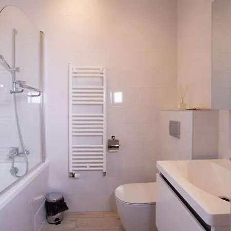 Apartment Savoya Old Town Timisoara